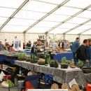 img_0305